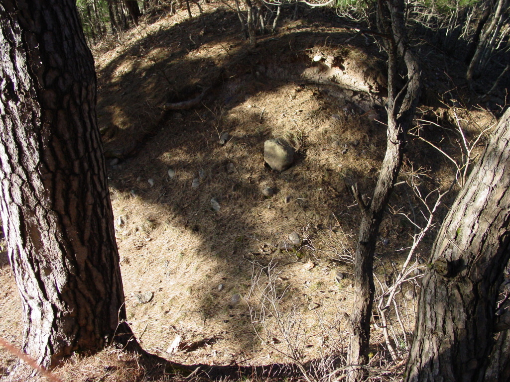 이미지를 클릭하면 원본을 보실 수 있습니다.