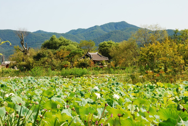 이미지를 클릭하면 원본을 보실 수 있습니다.