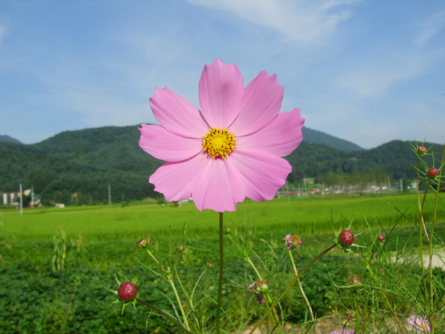 이미지를 클릭하면 원본을 보실 수 있습니다.