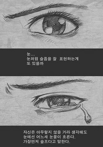 보너스 이미지