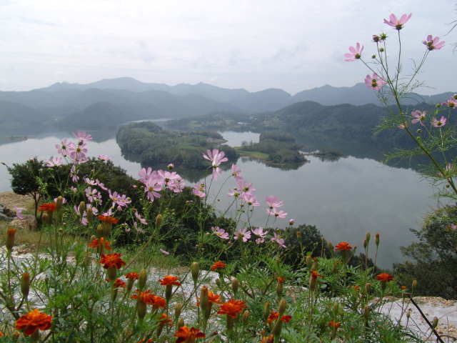 이미지를 클릭하면 원본을 보실 수 있습니다.