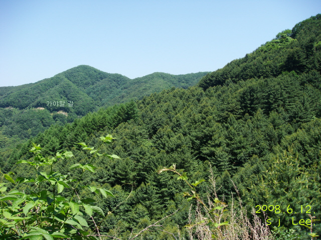이미지를 클릭하면 원본을 보실 수 있습니다.
