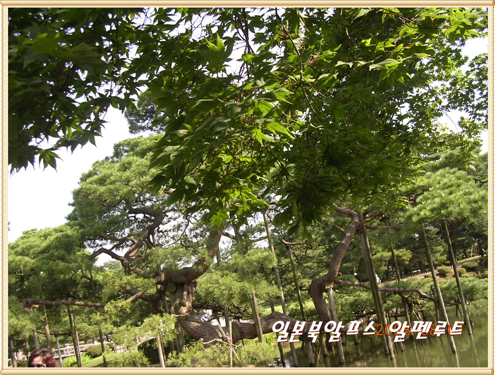 이미지를 클릭하면 원본을 보실 수 있습니다.