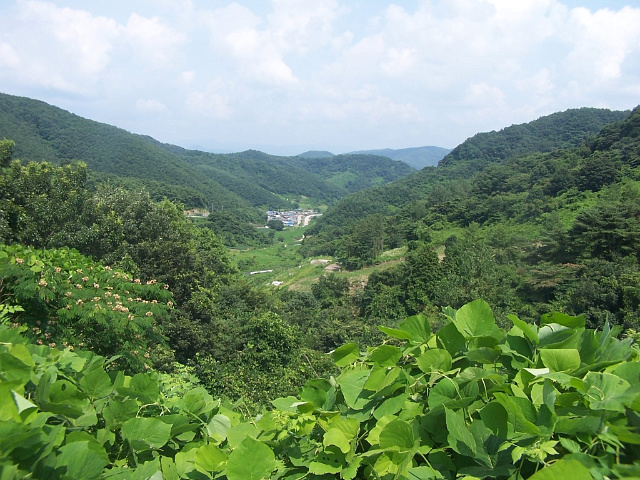 이미지를 클릭하면 원본을 보실 수 있습니다.