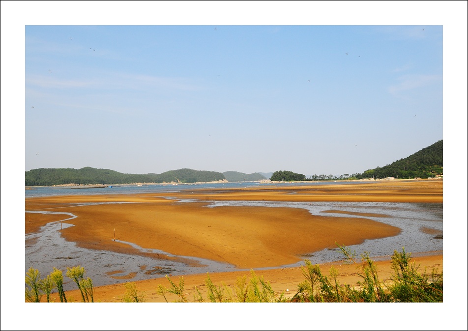 이미지를 클릭하면 원본을 보실 수 있습니다.