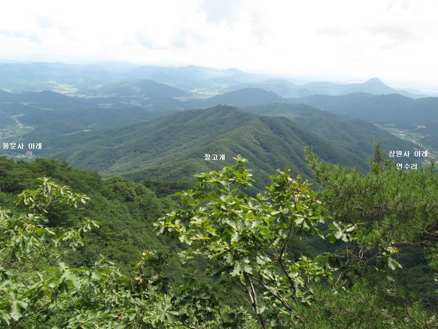 이미지를 클릭하면 원본을 보실 수 있습니다.