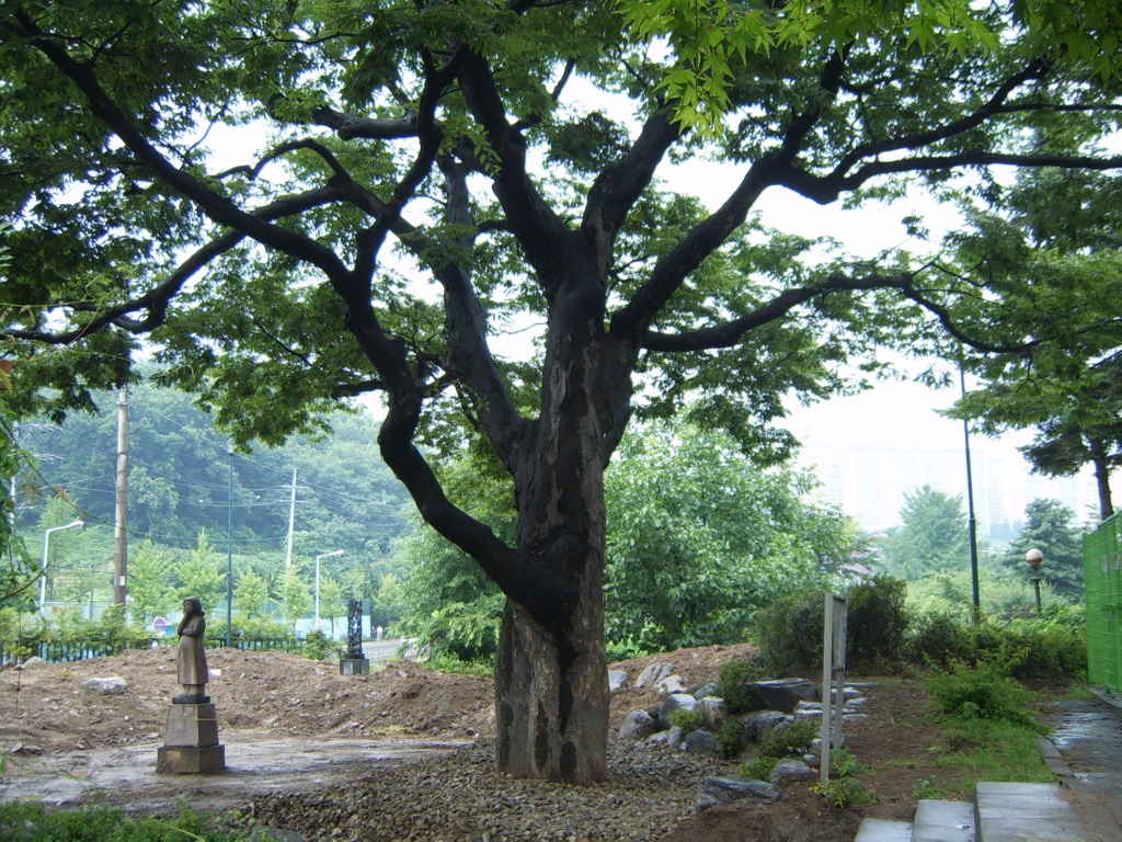 이미지를 클릭하면 원본을 보실 수 있습니다.