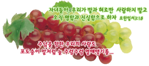 이미지를 클릭하면 원본을 보실 수 있습니다.