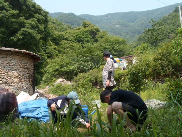 이미지를 클릭하면 원본을 보실 수 있습니다.