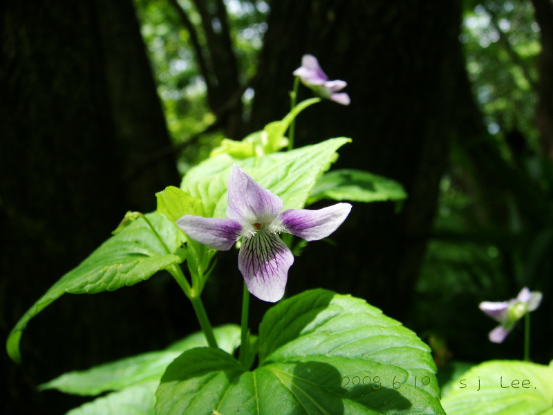 이미지를 클릭하면 원본을 보실 수 있습니다.