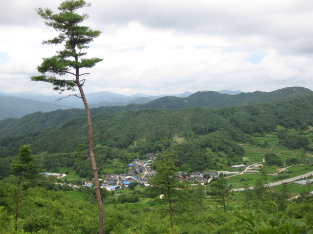 이미지를 클릭하면 원본을 보실 수 있습니다.