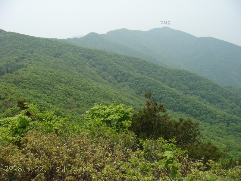 이미지를 클릭하면 원본을 보실 수 있습니다.