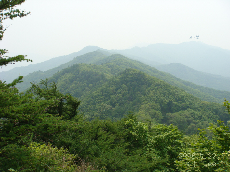이미지를 클릭하면 원본을 보실 수 있습니다.
