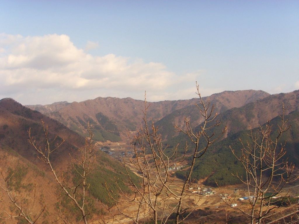 이미지를 클릭하면 원본을 보실 수 있습니다.