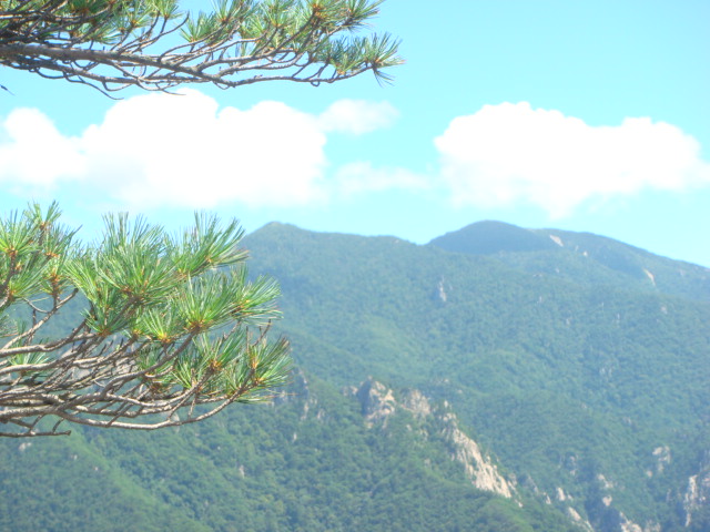 이미지를 클릭하면 원본을 보실 수 있습니다.