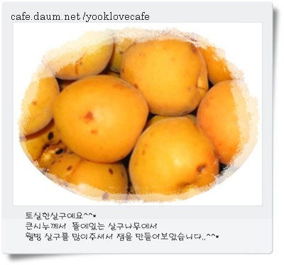 이미지를 클릭하면 원본을 보실 수 있습니다.