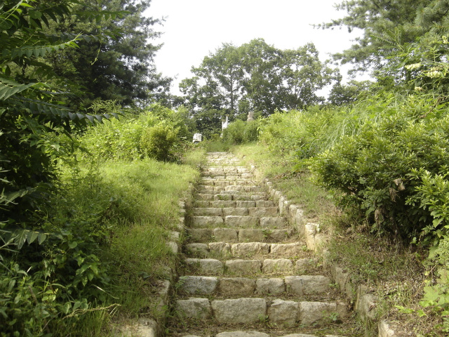 이미지를 클릭하면 원본을 보실 수 있습니다.