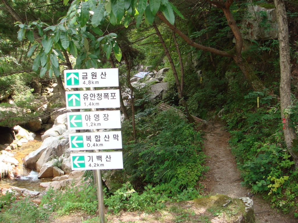 기백 이미지