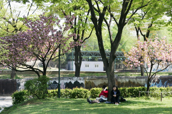 이미지를 클릭하면 원본을 보실 수 있습니다.