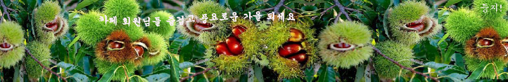 이미지를 클릭하면 원본을 보실 수 있습니다.