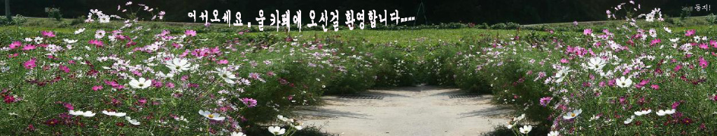 이미지를 클릭하면 원본을 보실 수 있습니다.