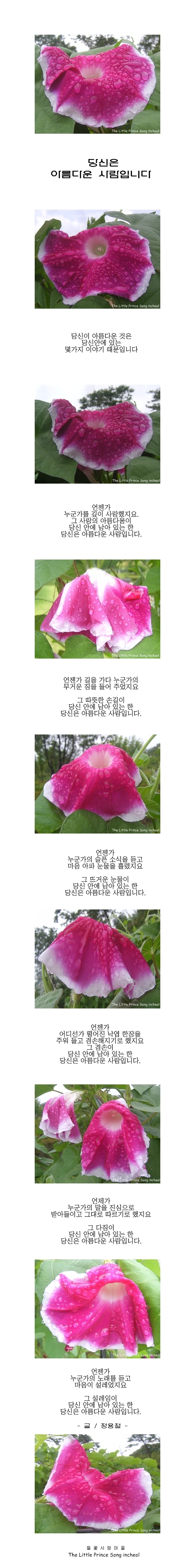 어린왕자의들꽃사랑마을