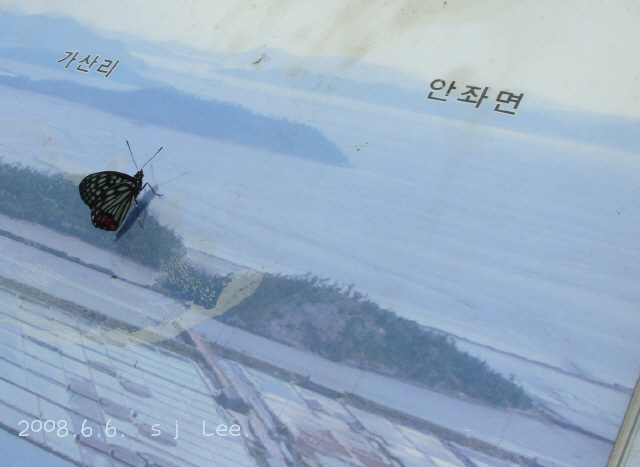 이미지를 클릭하면 원본을 보실 수 있습니다.