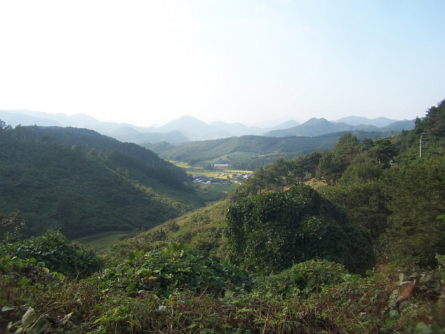 이미지를 클릭하면 원본을 보실 수 있습니다.