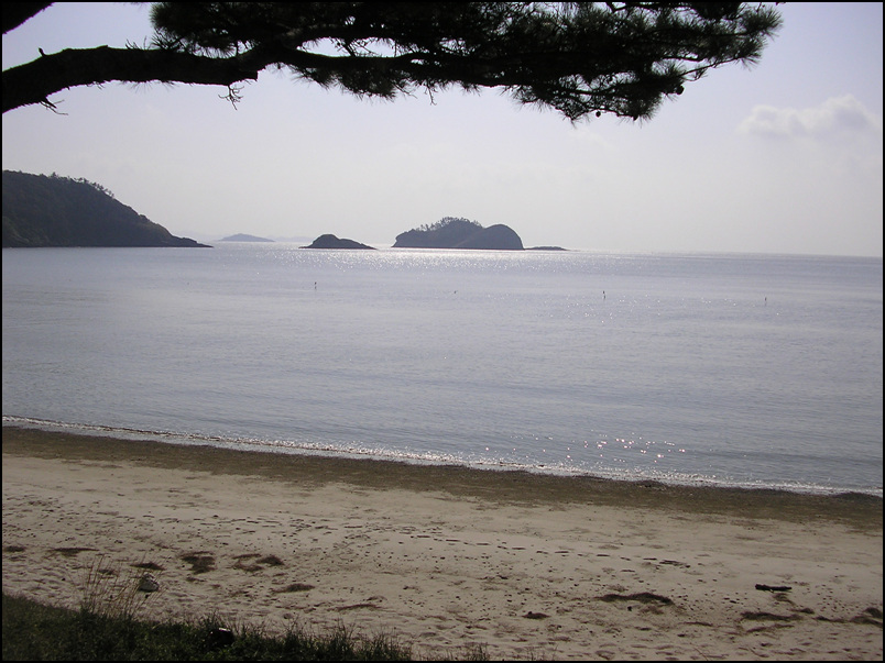 이미지를 클릭하면 원본을 보실 수 있습니다.