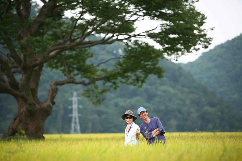이미지를 클릭하면 원본을 보실 수 있습니다.