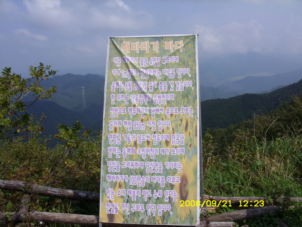 이미지를 클릭하면 원본을 보실 수 있습니다.