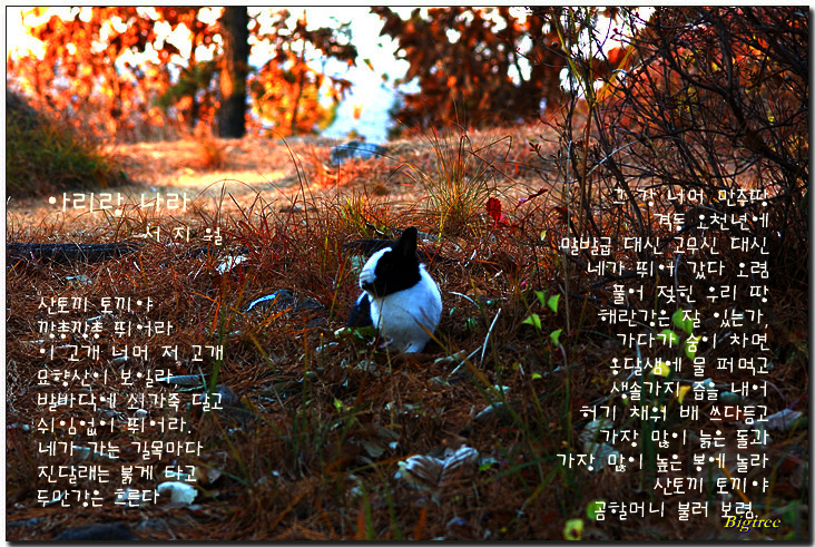 이미지를 클릭하면 원본을 보실 수 있습니다.
