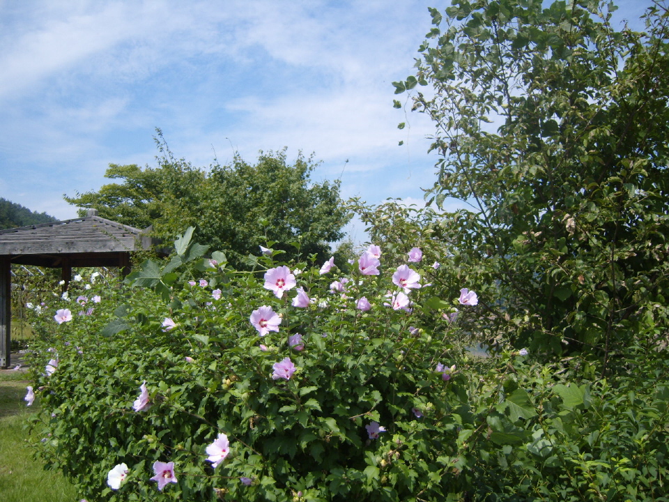 이미지를 클릭하면 원본을 보실 수 있습니다.