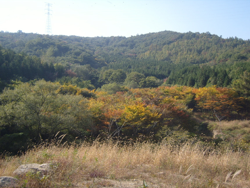 이미지를 클릭하면 원본을 보실 수 있습니다.