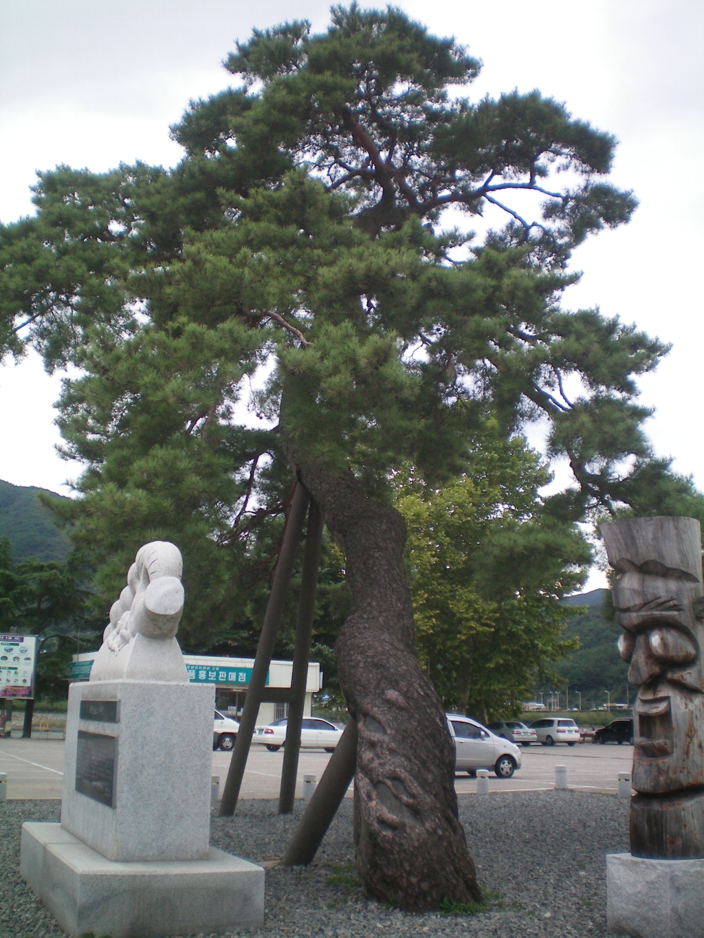 이미지를 클릭하면 원본을 보실 수 있습니다.
