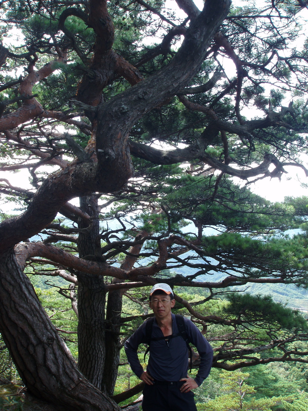 이미지를 클릭하면 원본을 보실 수 있습니다.