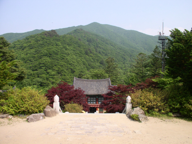 이미지를 클릭하면 원본을 보실 수 있습니다.