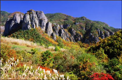 이미지를 클릭하면 원본을 보실 수 있습니다.