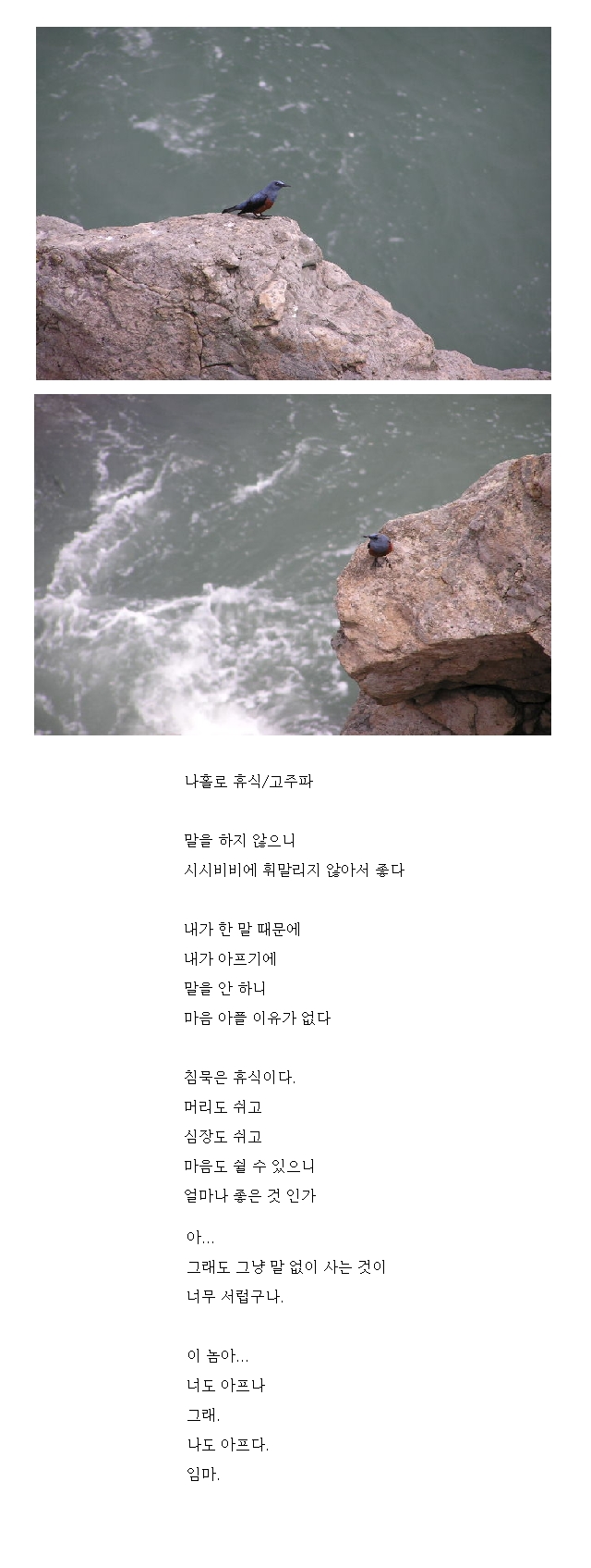 이미지를 클릭하면 원본을 보실 수 있습니다.