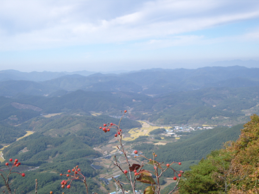 이미지를 클릭하면 원본을 보실 수 있습니다.
