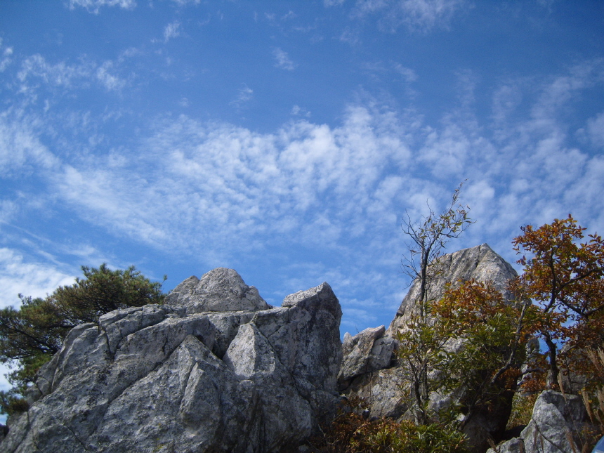 이미지를 클릭하면 원본을 보실 수 있습니다.