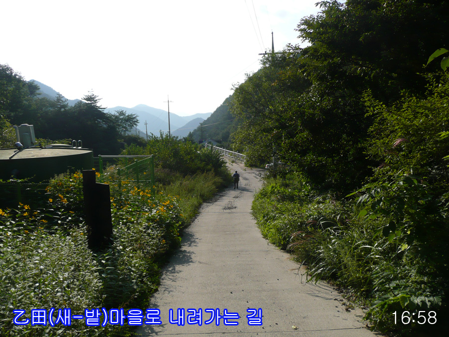 이미지를 클릭하면 원본을 보실 수 있습니다.