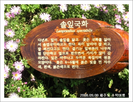 이미지를 클릭하면 원본을 보실 수 있습니다.
