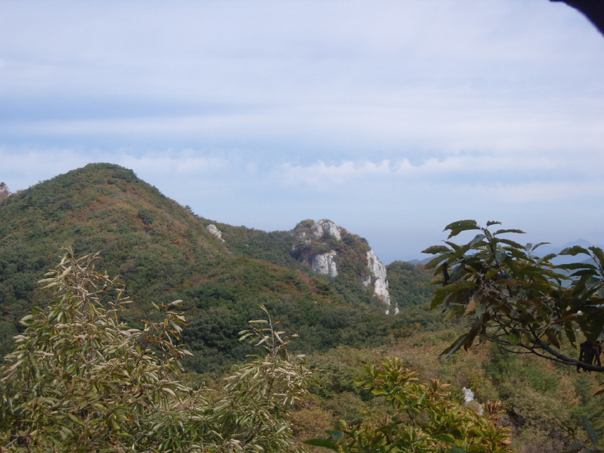 이미지를 클릭하면 원본을 보실 수 있습니다.