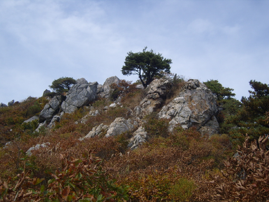 이미지를 클릭하면 원본을 보실 수 있습니다.