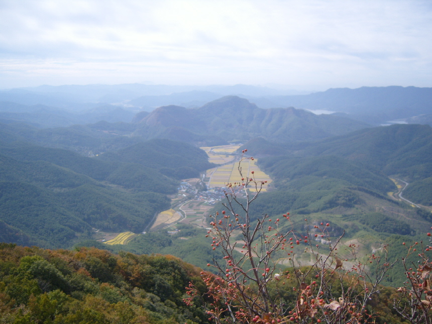 이미지를 클릭하면 원본을 보실 수 있습니다.