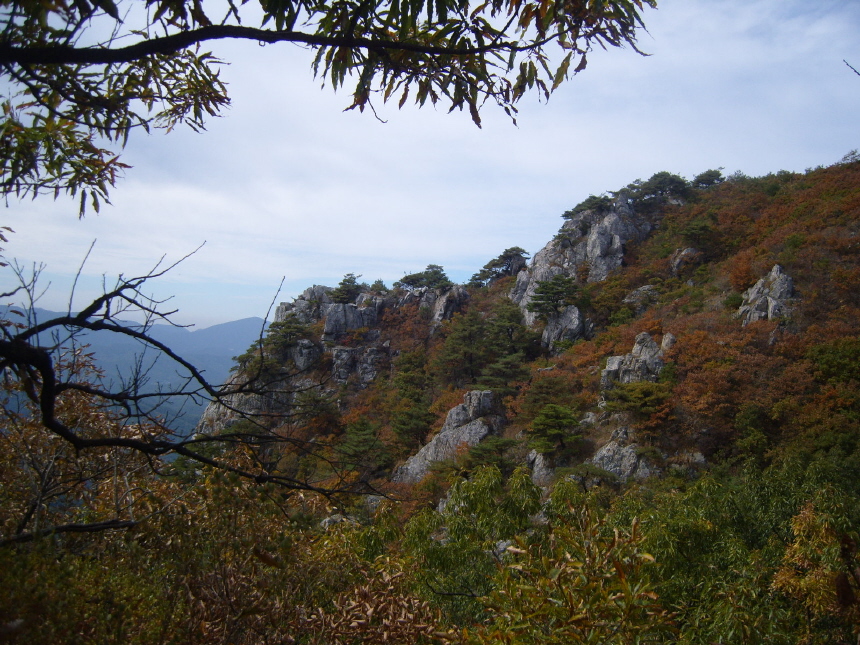 이미지를 클릭하면 원본을 보실 수 있습니다.