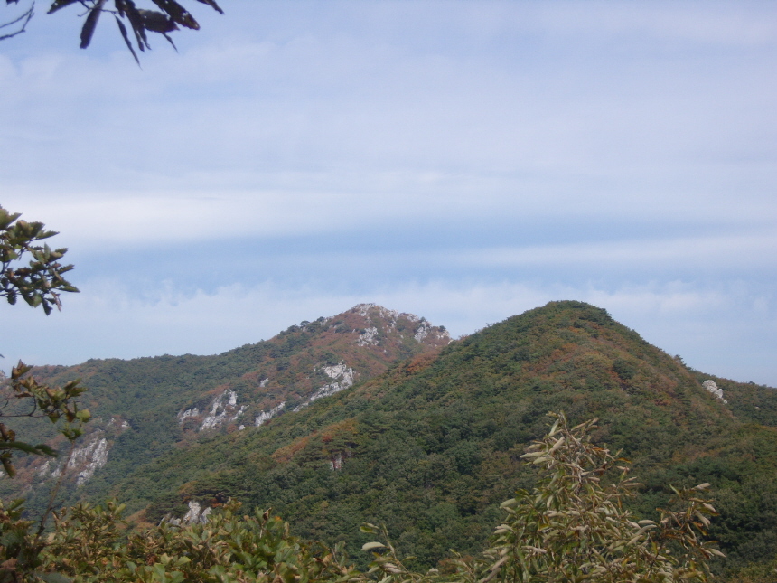 이미지를 클릭하면 원본을 보실 수 있습니다.