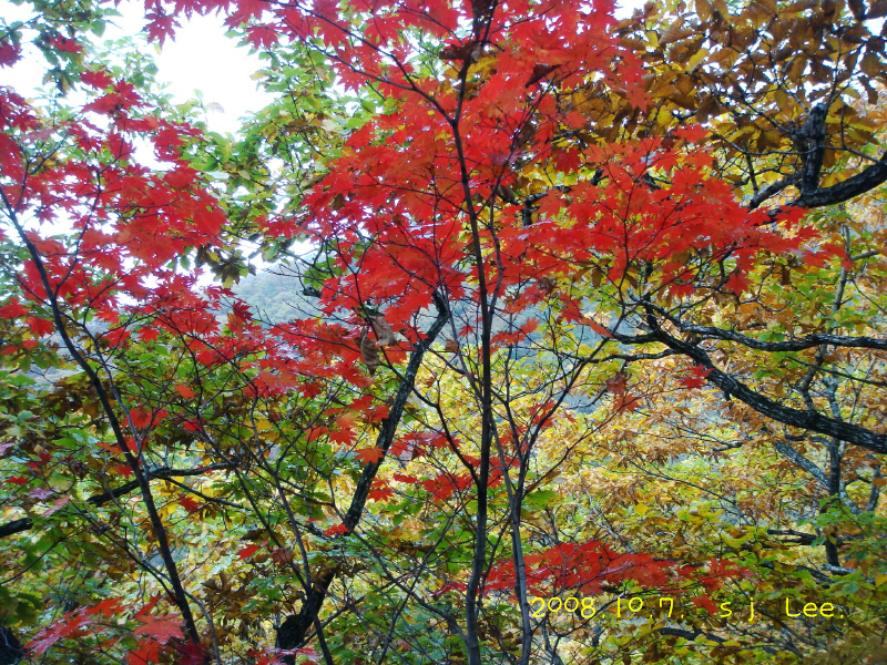 이미지를 클릭하면 원본을 보실 수 있습니다.