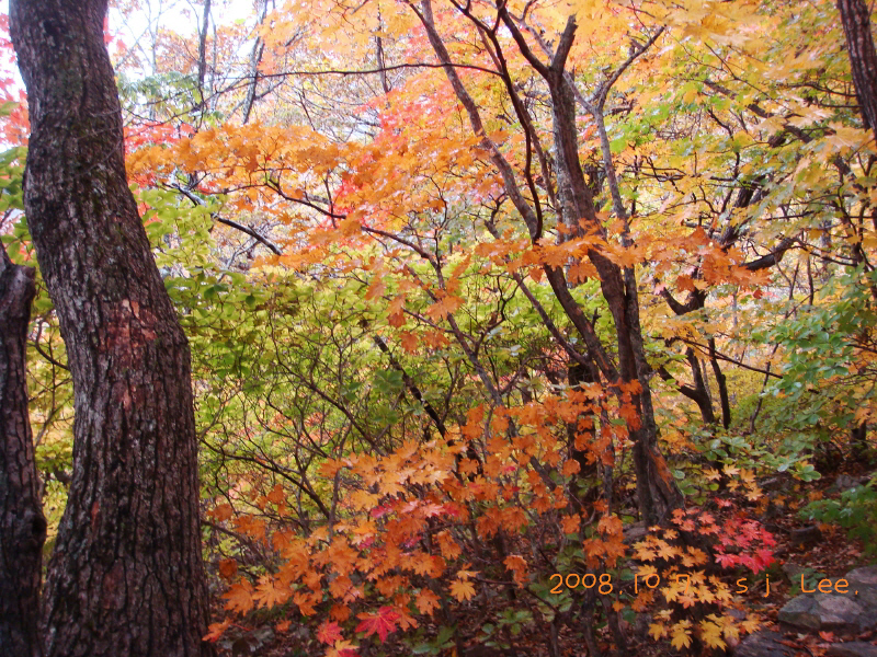 이미지를 클릭하면 원본을 보실 수 있습니다.